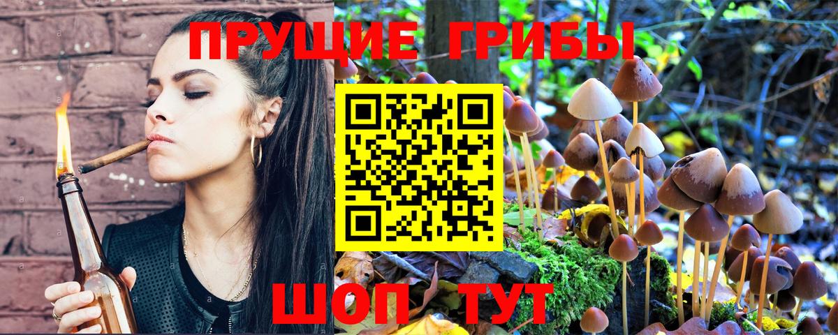 Коммунар  Псилоцибиновые грибы мухоморы  Вход с VPN 
